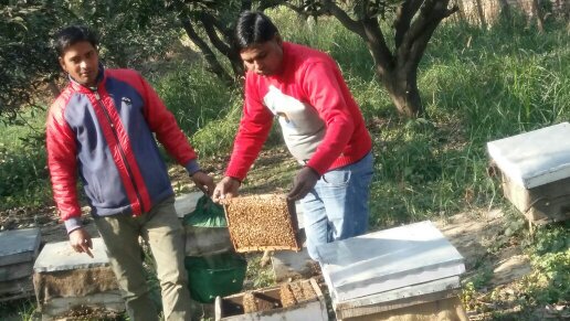 whatsapp image 2026 04 21 at 4.54.42 pm (2)